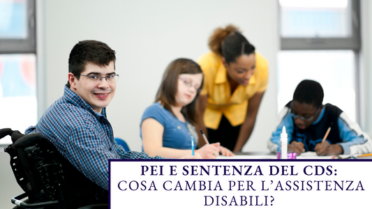 PEI e Sentenza del CdS: Cosa Cambia per l’Assistenza Disabili?